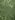 Ковровая плитка Bonkeel Sunrise Green 